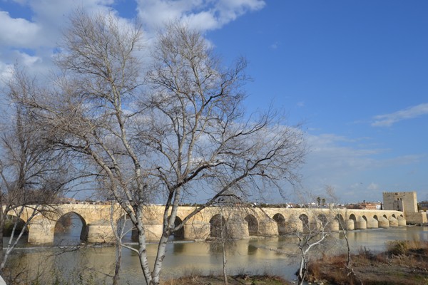 Ponte dos Romanos, Córdoba